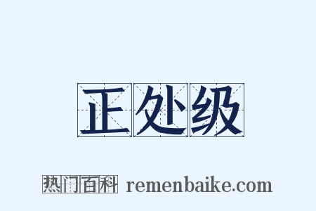 正处级是什么意思的图片